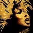 Additional Casting Announced for Tina Turner Musical TINA!