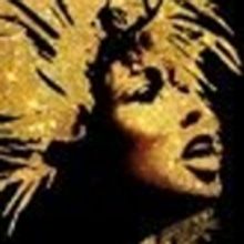 Additional Casting Announced for Tina Turner Musical TINA!