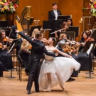 Welcome the New Year with SALUTE TO VIENNA NEW YEAR'S CONCERT at Symphony Hall