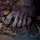 Watch: New Official Trailer for PRIMAL RAGE, Plus Special Nationwide One Night…