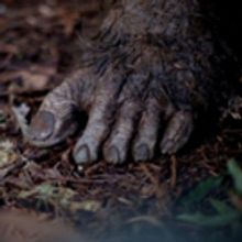 Watch: New Official Trailer for PRIMAL RAGE, Plus Special Nationwide One Night…