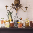 Sombra Mezcal Announces 12 Bartender Finalists of Its First-Ever Sustainable Virtual…