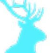 Buck Productions Set To Produce Female Driven Fiction Series BOUNDLESS