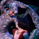 TCT Presents Disney's THE JUNGLE BOOK KIDS