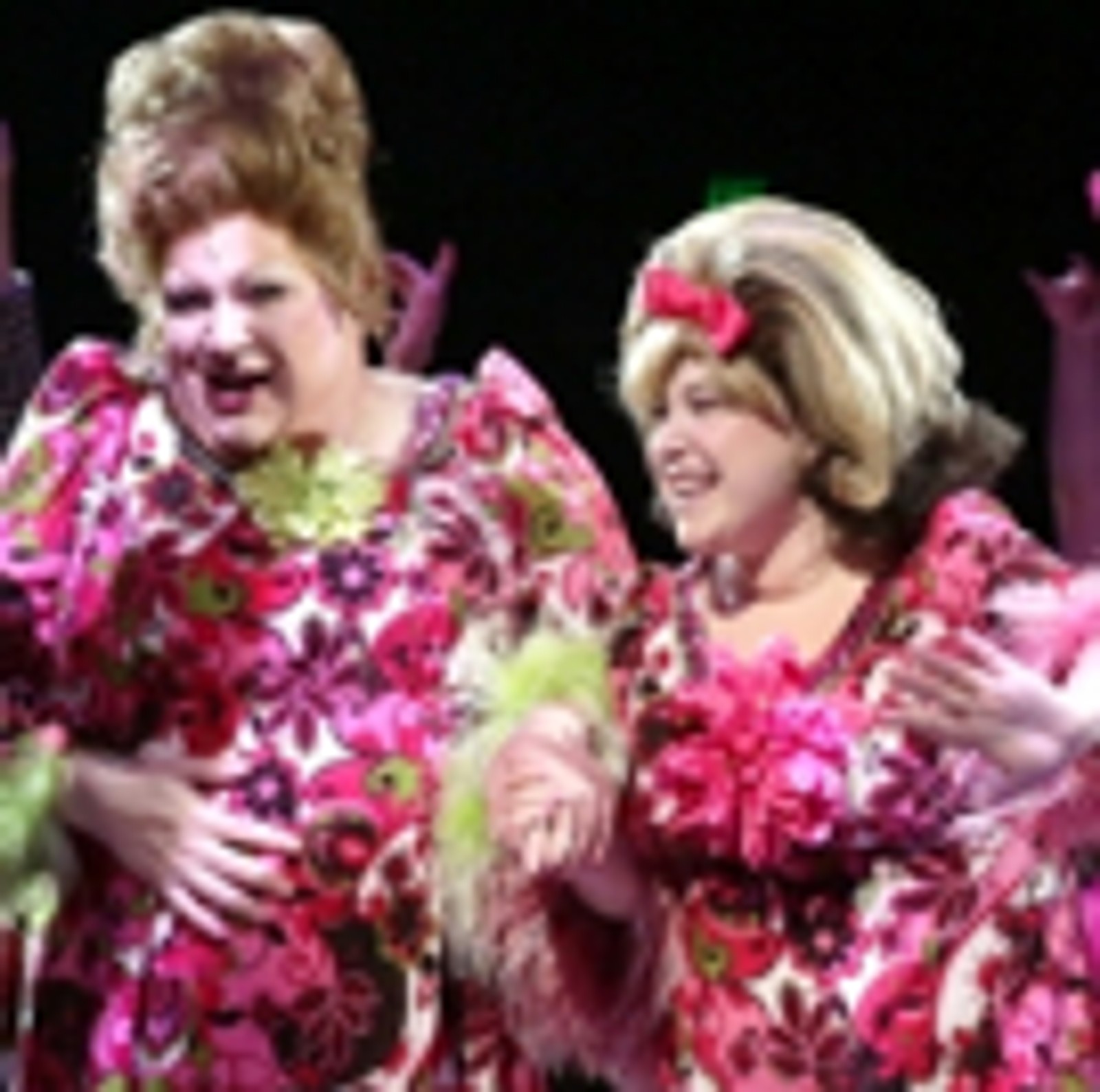 Photo Flash: HAIRSPRAY Comes to North Shore Music Theatre