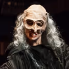 BWW Review: Charlottesville Opera Offers a Fresh and Fantastic INTO THE WOODS at the…