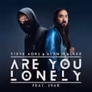 Steve Aoki and Alan Walker Drop Reimagined Collab ARE YOU LONELY