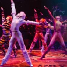 CATS Comes to Walton Arts Center 5/28 - 6/2!