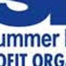 DSM 2017 Gala Breaks Fundraising Record with $500,000