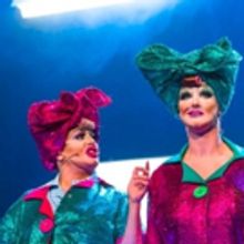 BWW Review: THE DOLLS: DRAGGED UP, King's Theatre, Glasgow