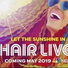 Photo Flash: First Look at Just-Released Promo Art for NBC's HAIR LIVE!