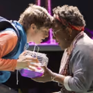BWW Review: Village's THE CURIOUS INCIDENT OF THE DOG IN THE NIGHT-TIME is Curiously…