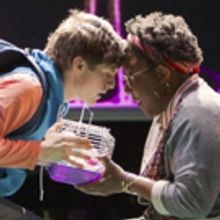 BWW Review: Village's THE CURIOUS INCIDENT OF THE DOG IN THE NIGHT-TIME is Curiously
