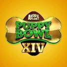 Animal Planet Presents PUPPY BOWL XIV 2/4