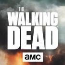 Jon Bernthal Set To Return To WALKING DEAD Season 9