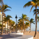 Six Summer Shows to Beat the South Florida Heat