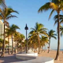 Six Summer Shows to Beat the South Florida Heat