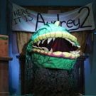 BWW Review: Raleigh Little Theatre's LITTLE SHOP OF HORRORS