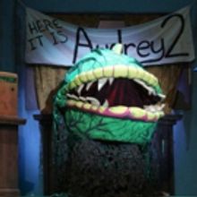 BWW Review: Raleigh Little Theatre's LITTLE SHOP OF HORRORS