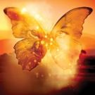 Full Casting Announced For The Barn Theatre Production Of THE BUTTERFLY LION