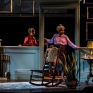 Photo Flash: First Look at Goodman's HAVING OUR SAY: THE DELANY SISTERS' FIRST 100…