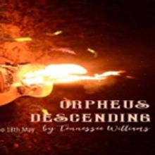 Cast Announced For ORPHEUS DESCENDING At Stockwell Playhouse
