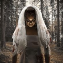 Premiere Of Louis Viljoen's Gripping Horror-Comedy THE DEMON BRIDE Comes to Woordfees