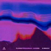 FLOSSTRADAMUS New Track 2 MUCH Featuring 24HRS Out Today, Feb 9 On Ultra Music