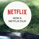BWW Interview: Jenny Han, author of TO ALL THE BOYS I'VE LOVED BEFORE, now a Netflix Movie