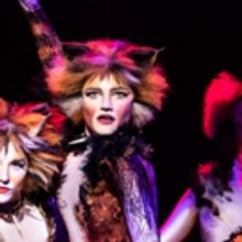 BWW Review: CATS at Popejoy Hall