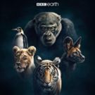 BBC America Releases First Look Image of Its New Natural History Series DYNASTIES