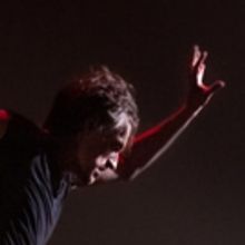 BWW Review: SERGEI POLUNIN, London Palladium