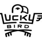 Lucky Bird Media Announces Tom Avis Of Hive Mind PR As Toronto Branch