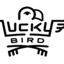Lucky Bird Media Announces Tom Avis Of Hive Mind PR As Toronto Branch