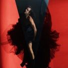 FISCHERSPOONER Release Eagerly Anticipated album SIR