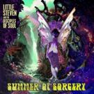 Little Steven Announces First Album of New Material in 20 Years