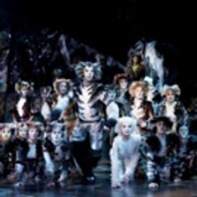 CATS to Premiere at The Ronacher Fall 2019