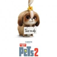 VIDEO: Watch the Daisy Trailer for THE SECRET LIFE OF PETS 2 Video