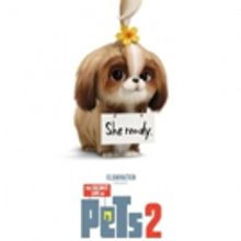 VIDEO: Watch the Daisy Trailer for THE SECRET LIFE OF PETS 2
