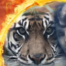 Leslie Zemeckis Unleashes Her Latest Documentary MABEL, MABEL, TIGER TRAINER For…