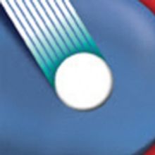 PTC Presents GREASE By Jim Jacobs And Warren Casey