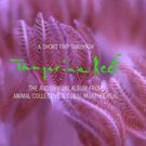 VIDEO: Animal Collective Share Extended Trailer for 'Tangerine Reef', Out 8/17