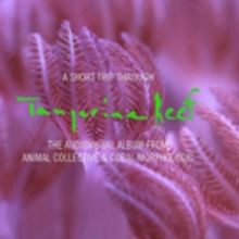 VIDEO: Animal Collective Share Extended Trailer for 'Tangerine Reef', Out 8/17