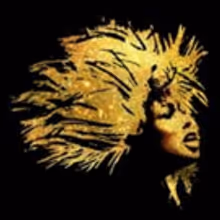 TINA - THE TINA TURNER MUSICAL Will Open in Germany in 2019; Plans Underway for…