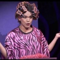 VIDEO: A First Look At A Sensible Theatre Co Presents PAGEANT, The Musical Video