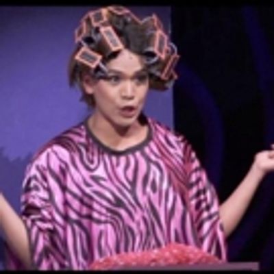 VIDEO: A First Look At A Sensible Theatre Co Presents PAGEANT, The Musical