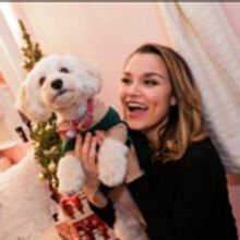 Pets Of Broadway: Meet Samantha Barks' Little Diva, Ivy Barks!