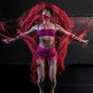 CUNY Dance Initiative And John Jay College In Collaboration With Rocha Dance Theater…