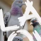 Reynaldo Piniella's Black Doves Wins The 12th Anniversary Barbour Playwrights Award
