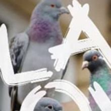 Reynaldo Piniella's Black Doves Wins The 12th Anniversary Barbour Playwrights Award